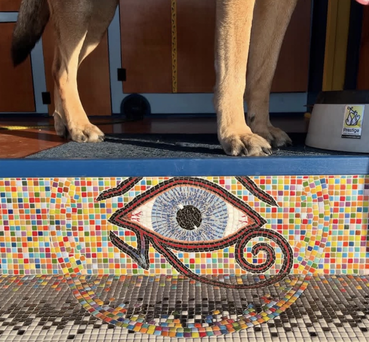 A dog standing beside the mosaic bench, with the Eye of Horus visible on the panel below